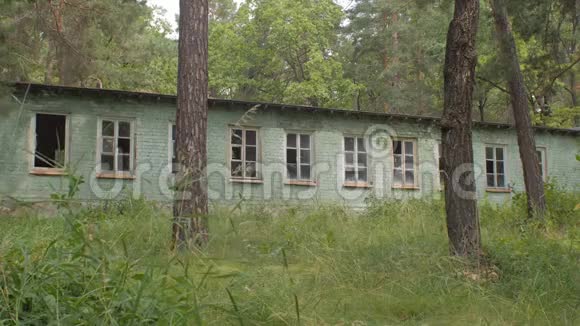 森林里废弃的房子夏天视频的预览图