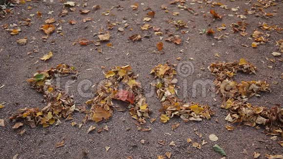 在一条秋天的小巷里黄叶组成了一个字出售视频的预览图