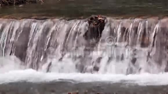 小瀑布清澈平静的山河有着茂密的河岸视频的预览图