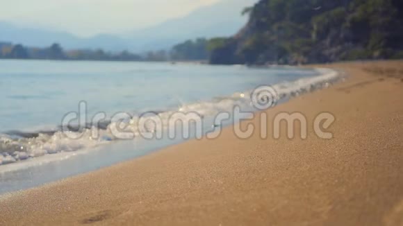 秋日沙滩上的海浪拍打视频的预览图