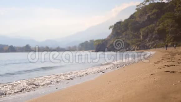 秋日沙滩上的海浪拍打视频的预览图