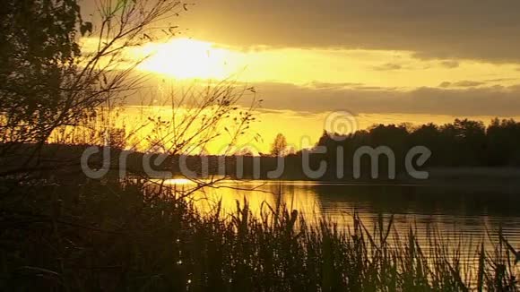 河畔夏日夕阳视频的预览图