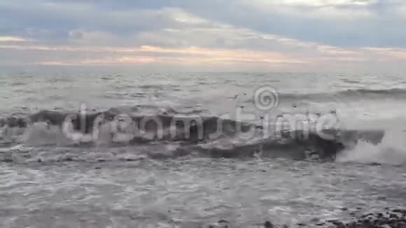暴风雨和海鸥在水上视频的预览图