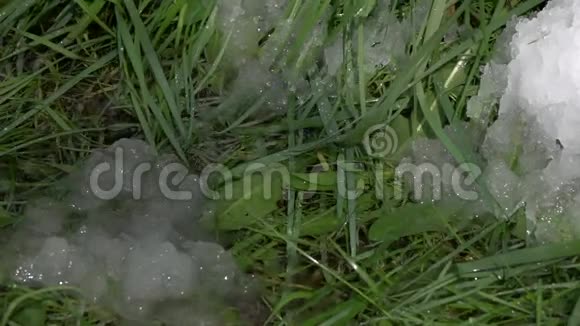 春雨缓缓落在青草的背景上视频的预览图