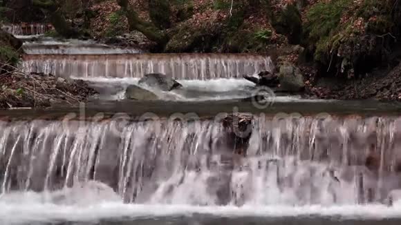 在苔藓和春天的森林中瀑布沿着岩石的台阶视频的预览图