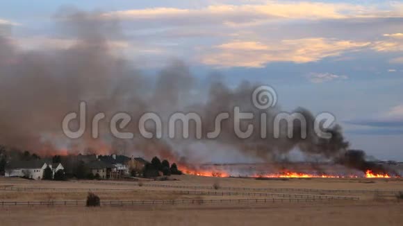 居民区附近发生野火燃烧视频的预览图