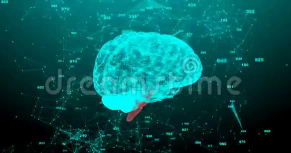 人类的大脑有数字的屈膝很漂亮的背景科学医学和商业的概念循环视频的预览图