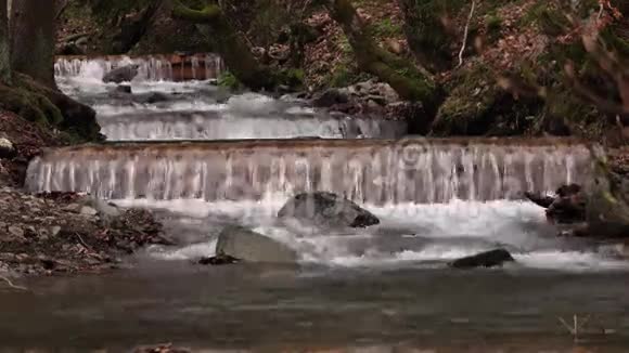 春天的森林溪流山河在苔藓的岩石上流淌视频的预览图