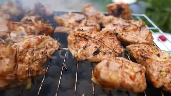 4k决议从猪肉鸡肉中切串烤架上的食物烧烤视频的预览图