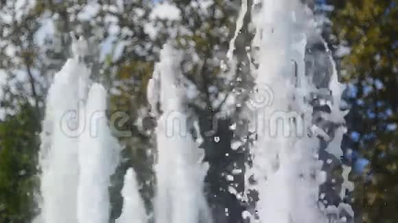 公园里的喷泉水视频的预览图