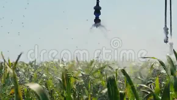 田间自动化灌溉系统视频的预览图