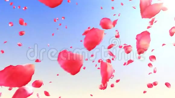 随着太阳在天空中飞舞的玫瑰花瓣高清1080循环动画视频的预览图