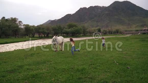 两个小女孩围着马在草坪上跑来跑去孩子们在草地上户外玩耍慢动作视频的预览图