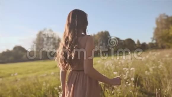 美丽的长发女孩在绿色的草地上抚摸着花朵视频的预览图