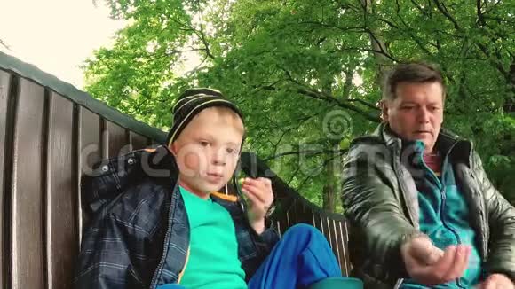 戈梅尔白俄罗斯爸爸和儿子在公园里喂野鸽子视频的预览图