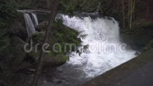 华盛顿州贝灵汉瀑布4UHDK视频的预览图