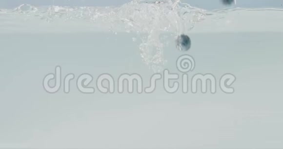 大型成熟蓝莓漂浮在清澈的清水中白色背景在玻璃容器中溅在水面上视频的预览图