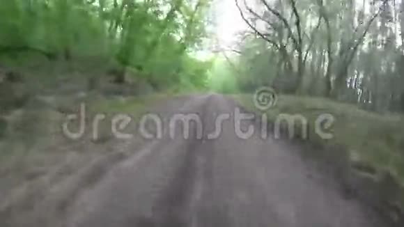 汽车穿过森林视频的预览图