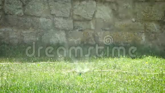 草地上的洒水装置视频的预览图