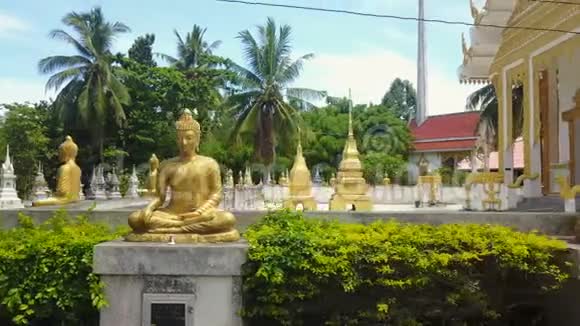 泰国寺庙附近的佛像画廊鸟瞰图视频的预览图