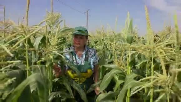女人检查玉米植物视频的预览图