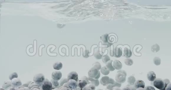 大型成熟蓝莓漂浮在清澈的清水中白色背景在玻璃容器中溅在水面上视频的预览图
