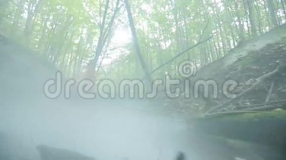 一个神秘的大雾森林里美丽的女士视频的预览图