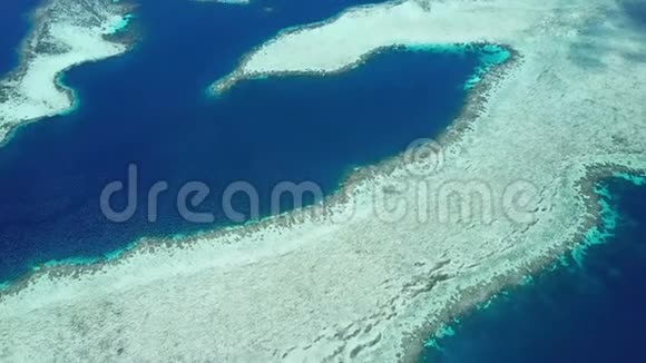 RajaAmpat珊瑚礁结构鸟瞰图视频的预览图