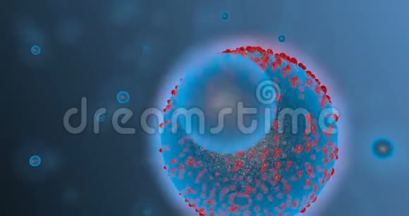 感染了血液中的病毒冠状病毒的概念也称为2019nCov3D投标视频的预览图