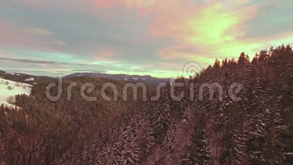 美丽夕阳下的冬林鸟瞰视频的预览图