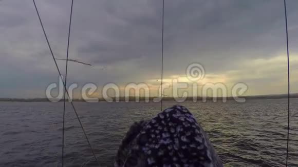 游艇队的成员看着那只被掠食的鸟在灰色的云层上掠过视频的预览图