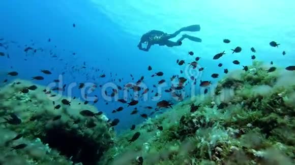 水下场景清水中的潜水员视频的预览图
