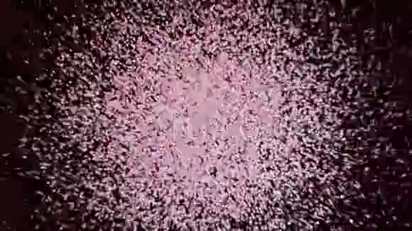 粉红粒子心脏揭示PNG动画视频的预览图