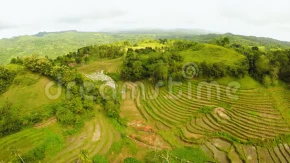 博霍尔岛的梯田菲律宾美丽的自然菲律宾人空中景色视频的预览图