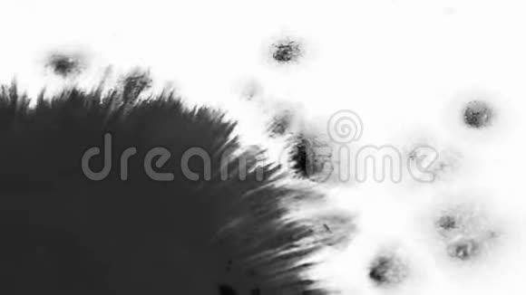 黑色墨水滴在白纸上飞溅膨胀的墨水在白色背景上绽放视频的预览图