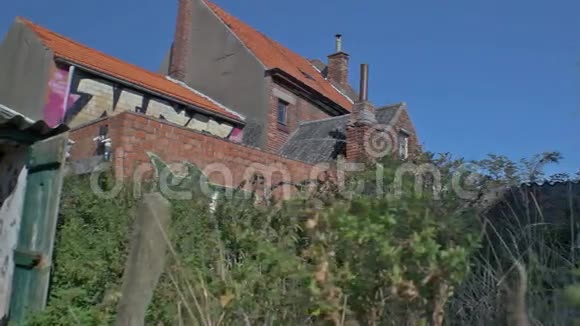 损坏的建筑物野生后院视频的预览图