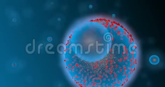 感染了血液中的病毒冠状病毒的概念也称为2019nCov3D投标视频的预览图