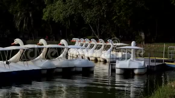 公共公园池塘上的天鹅船视频的预览图