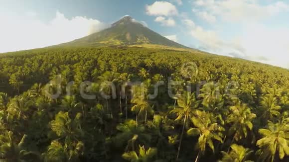 马永火山靠近菲律宾的勒加兹皮市日落时俯瞰棕榈丛林和种植园梅昂火山视频的预览图