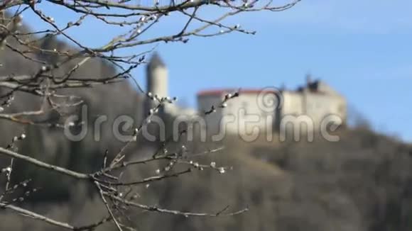 意大利北部的城堡视频的预览图
