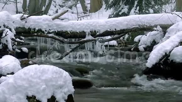冬天一条美丽的清澈的小溪雪流过树林视频的预览图