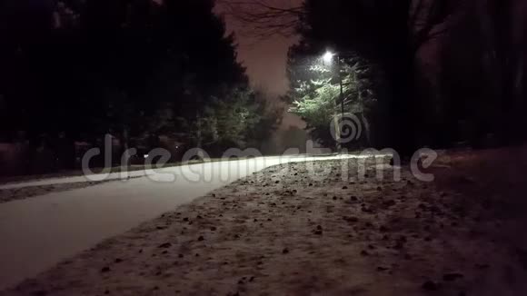 公园里的雪夜美丽的夜晚雪景视频的预览图