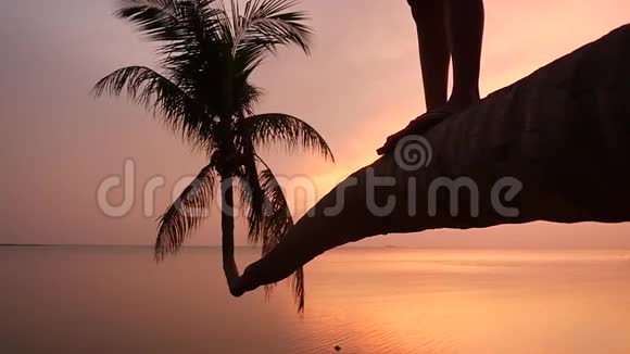 把男腿合上在美丽的夕阳下年轻人站在热带海滩的棕榈树上慢动作1920x1080视频的预览图