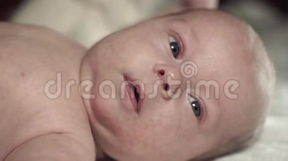 新生婴儿的特写肖像喂冷静的宝贝看着摄像机视频的预览图