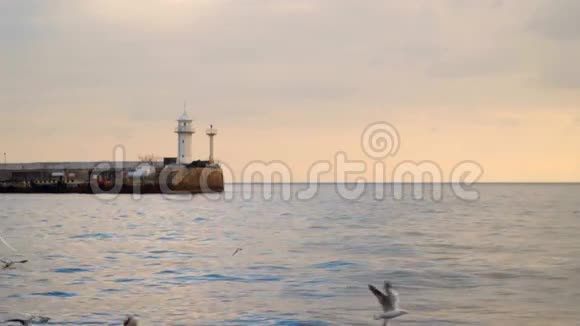 傍晚海鸥在灯塔的背景下飞翔视频的预览图