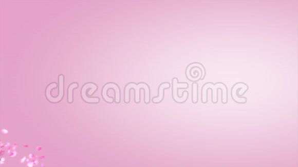 粉红色的康乃馨花呈螺旋状移动视频的预览图