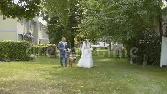 新婚夫妇和好狗在绿草上散步然后互相亲吻视频的预览图