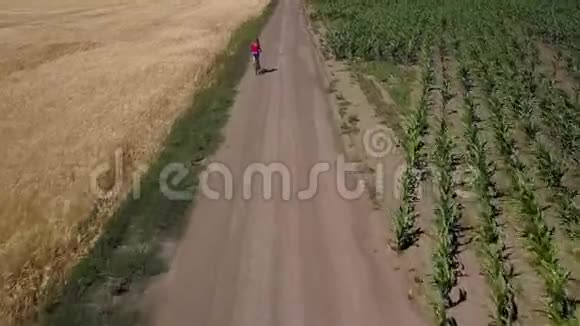 女孩沿着农田之间的道路骑行视频的预览图