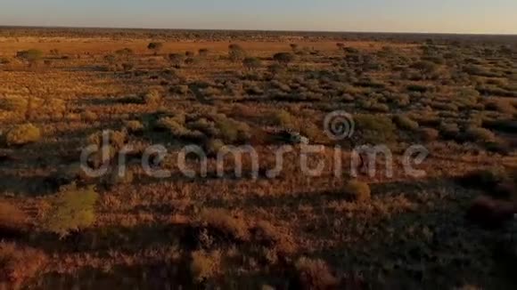 日落时分纳米比亚草原的全景和人们乘坐越野车视频的预览图