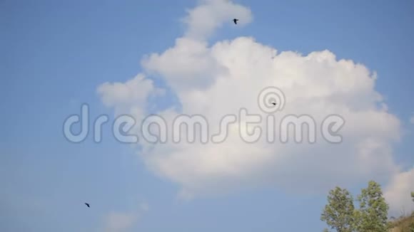 鸟儿盘旋在蓝天上撞击岩石视频的预览图